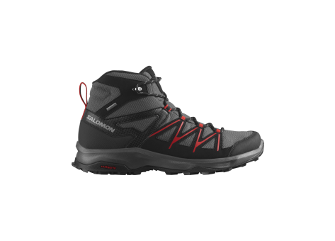 Salomon Daintree Mid Gtx (L47536600) schwarz