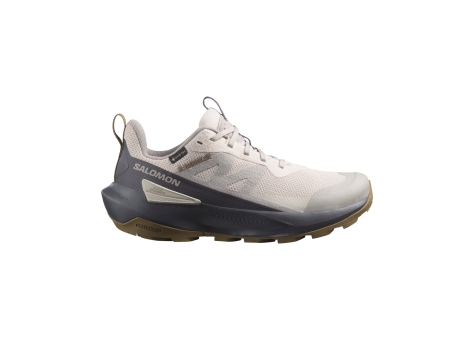 Salomon Elixir Activ Gore Tex (L47691600) grau