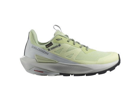 Salomon Elixir Activ GORE TEX GTX (L47456300) grün