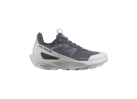 Salomon Elixir Activ GORE TEX GTX (L47526500) grau