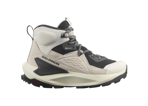 Salomon Elixir Mid GORE TEX (L47297000) grau