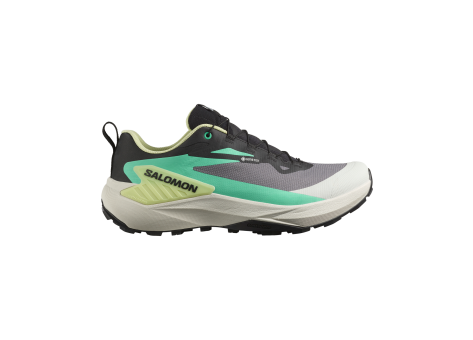 Salomon Genesis Gore tex (L47767500) grau