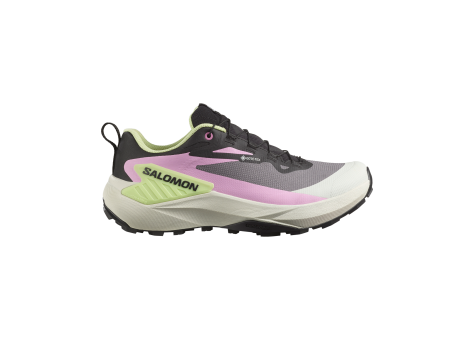 Salomon Genesis Gore tex (L47767600) grau