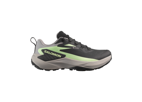 Salomon Genesis Gtx (L47862800) schwarz