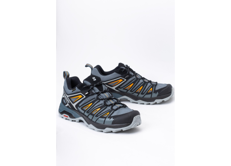 Salomon X ULTRA PIONEER GTX (L47196900) grau