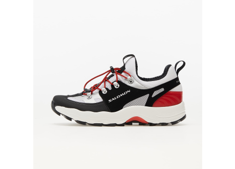 Salomon Raid Wind (415905) bunt