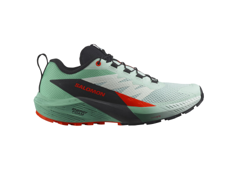 Salomon Sense Ride 5 (L47698300) grün