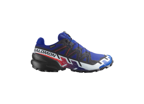 Salomon Speedcross 6 GTX Equipe (L47982800) bunt