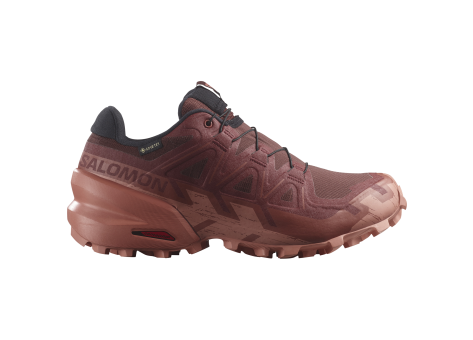 Salomon Speedcross 6 GTX Gore Tex (L47584300) rot