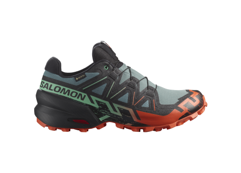 Salomon Speedcross 6 GTX (L47701300) schwarz