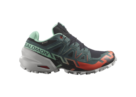 Salomon Speedcross 6 GTX (L47584200) schwarz