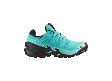 Salomon Speedcross 6 GTX (L47765600) türkis