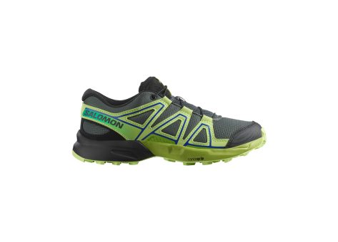 Salomon Speedcross (L47733300) bunt