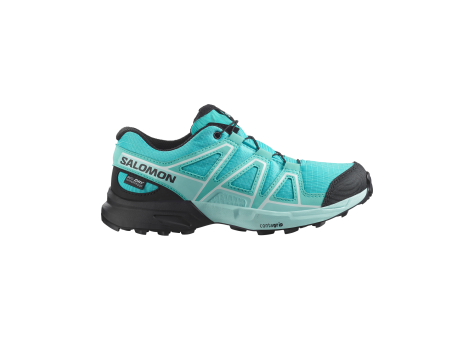 Salomon Speedcross Wp (L47733900) türkis