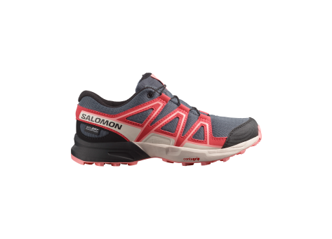 Salomon Speedcross Wp (L47856600) bunt