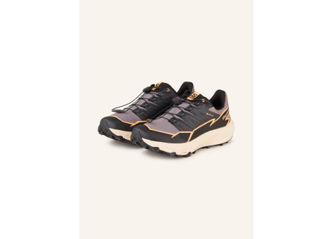 Salomon THUNDERCROSS GTX (L47684700) grau