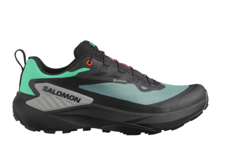 Salomon Genesis GTX (L47688300) schwarz