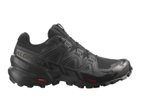 Salomon Trail-Schuhe SPEEDCROSS 6 GTX W l41743400 (l41743400) schwarz
