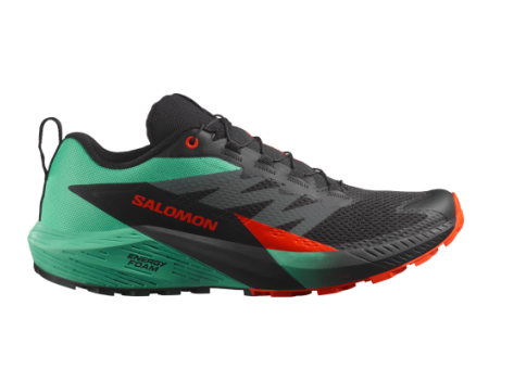 Salomon SENSE RIDE 5 (L47698200) schwarz