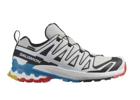 Salomon Trail XA PRO 3D V9 GTX W (L47716500) weiss