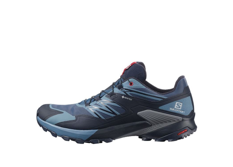 Salomon Wings Sky Gtx (413861) bunt