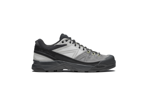 Salomon X ALP LTR (L47805800) grau