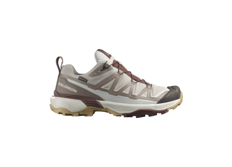 Salomon X Ultra 360 Edge GTX W Gore Tex (L47698800) grau