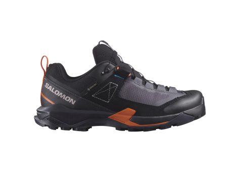 Salomon X Ultra Alpine Gore Tex (L47567300) grau