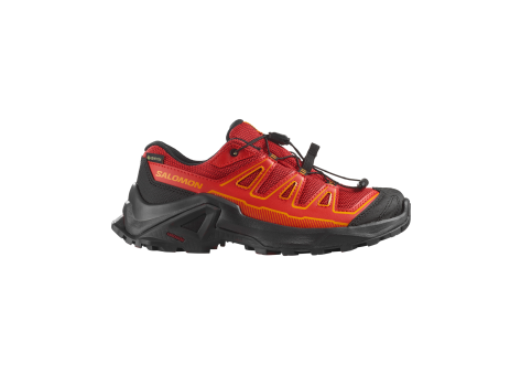 Salomon X Ultra Gore Tex (L47745800) bunt