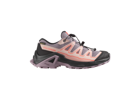 Salomon X Ultra Gtx (L47745700) bunt