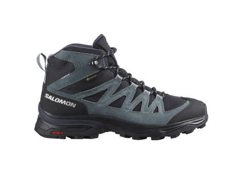 Salomon X WARD MID Leather GORE TEX (L47182000) bunt