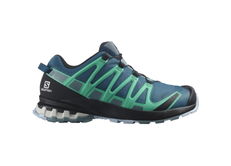 Salomon XA PRO 3D v8 GTX W (L41629600) bunt