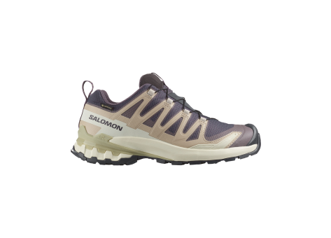 Salomon XA Pro 3D V9 Gore Tex (L47744700) grau