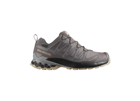 Salomon XA PRO 3D V9 GTX (L47744500) grau
