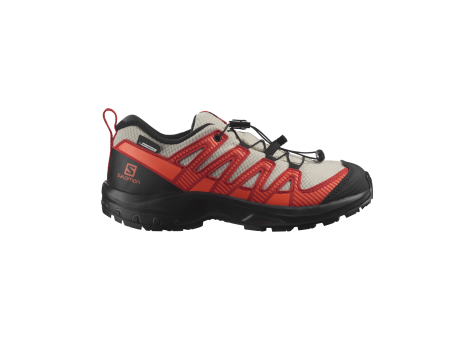 Salomon XA Pro V8 CSWP (L47126100) bunt