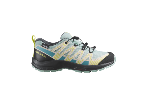 Salomon XA PRO V8 CSWP Waterproof (L47434800) blau