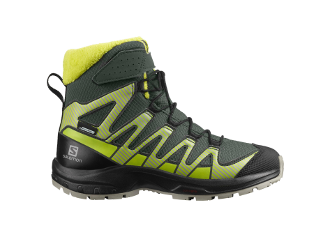 Salomon XA PRO V8 WINTER (L41433500) bunt