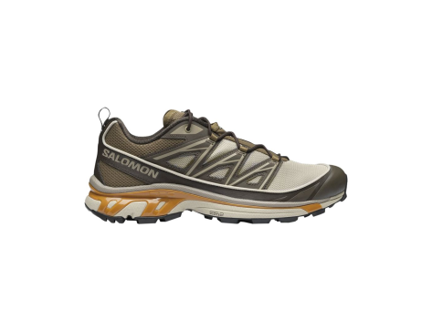Salomon XT 6 Expanse (L41741600) beige