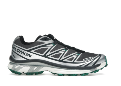 Salomon END. x XT 6 Emerald (L47953100) grau