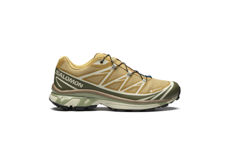 Salomon XT 6 GTX Tex Gore (L47581000) braun