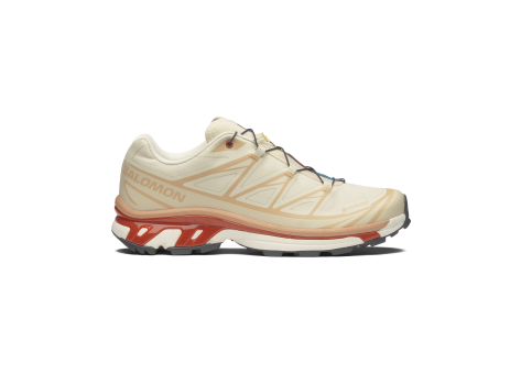 Salomon XT 6 Gore tex (L47865200) beige