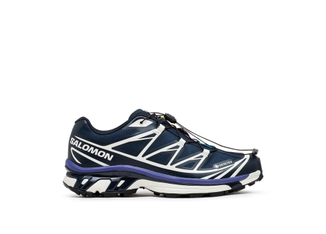 Salomon XT 6 GTX TEX Gore (L47732500) bunt