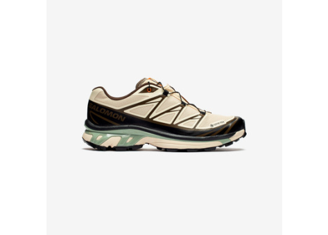 Salomon SNS x Salomon XT-6 Gore-Tex Almond Milk (L47792800) bunt