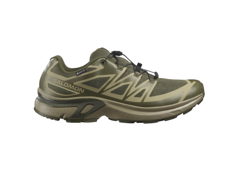 Salomon XT EVR Gore Tex (L47714200) grün