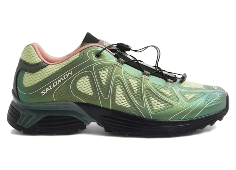 Salomon END. x XT Whisper Void (L49170300) grün