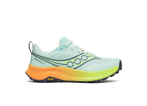 Saucony Peregrine 16 (S11066-130) bunt