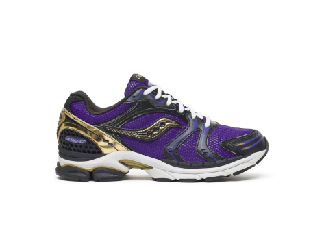 Saucony ProGrid Triumph 4 CS (S70805-16) bunt