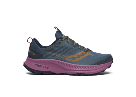 Saucony Ride TR2 GTX (S10953-251) blau