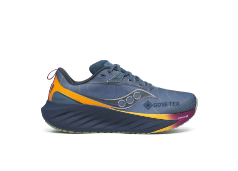 Saucony Triumph 22 GTX (S10966-253) blau