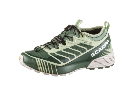 Scarpa Ribelle Run GTX (33078G-L;984) grün